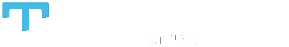 TAMID Group at NYU Logo